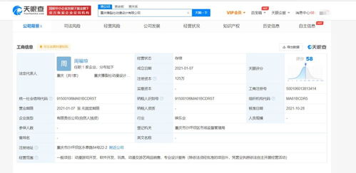 重慶軟件開發 西部創新高地與產業轉型升級的引擎